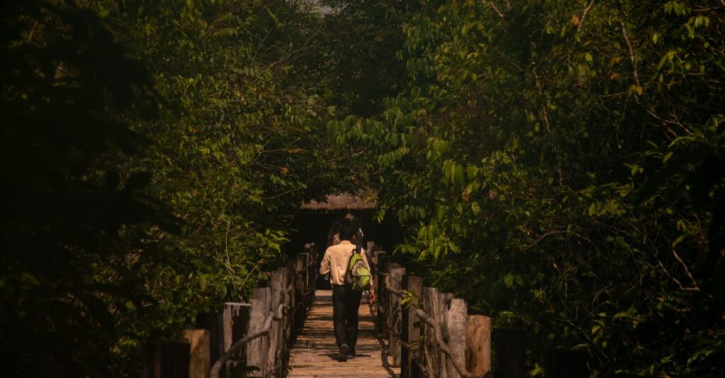 guide de voyage au cambodge : découvrez les meilleures attractions, conseils pratiques, culture locale et itinéraires pour un séjour inoubliable au cœur de l'asie du sud-est.