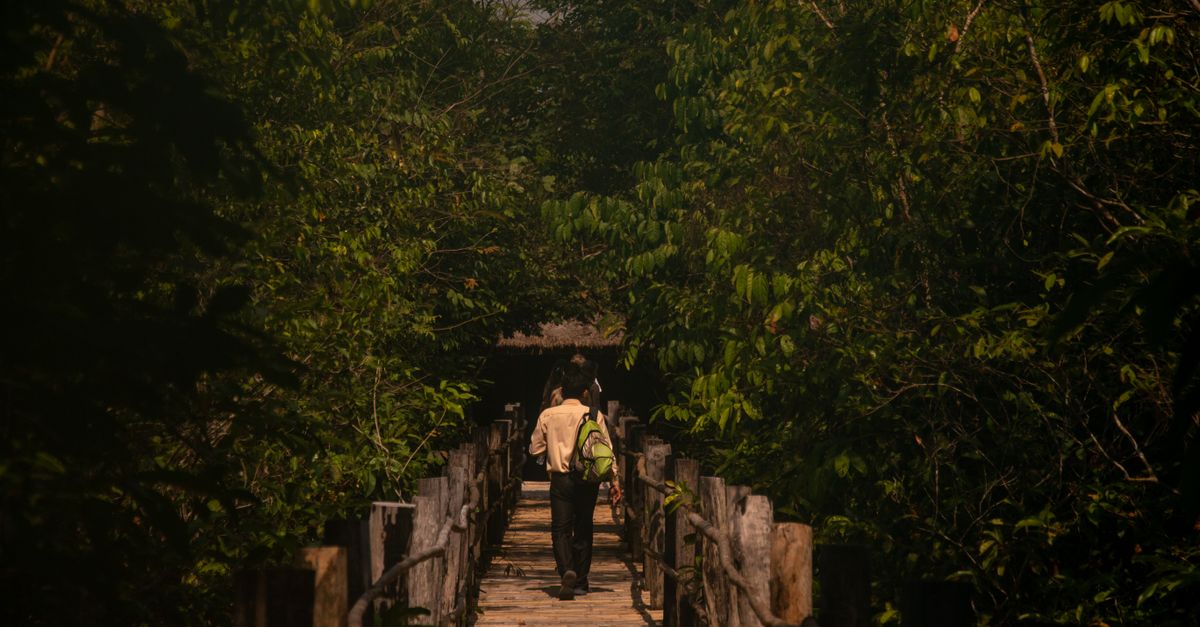 guide de voyage au cambodge : découvrez les meilleures attractions, conseils pratiques, culture locale et itinéraires pour un séjour inoubliable au cœur de l'asie du sud-est.